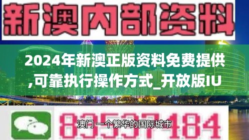 2024新澳免费资科五不中料-词语释义解释落实