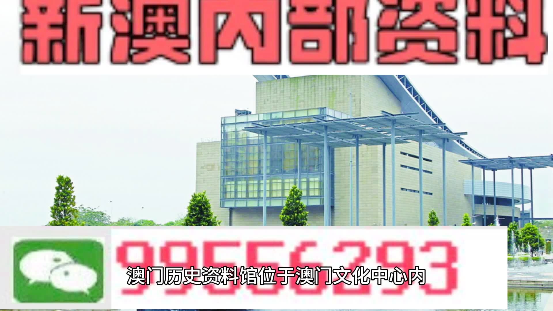 2024新澳门六肖-精选解释解析落实