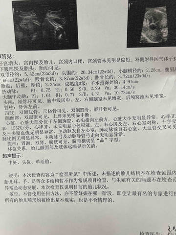 关于25周是多少个月的探讨