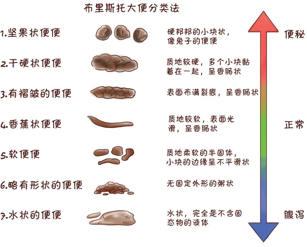 关于几个月大便成形的探讨