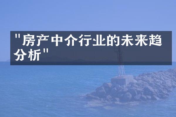 上海房产中介，角色、挑战与未来趋势