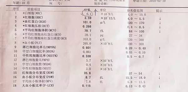 六个月宝宝血常规标准解析