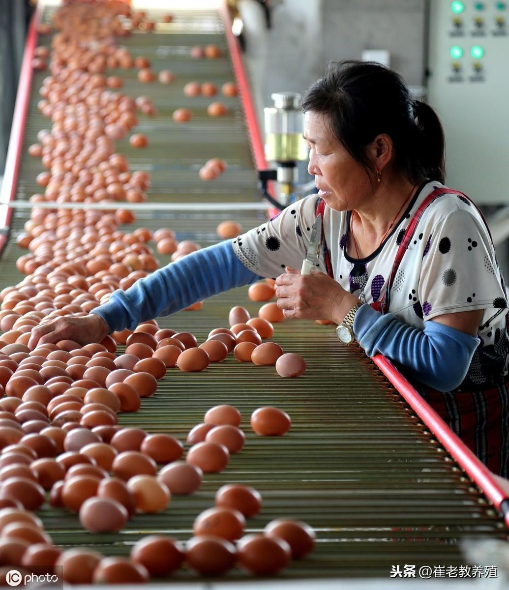 关于四个月宝宝食量减少的探讨